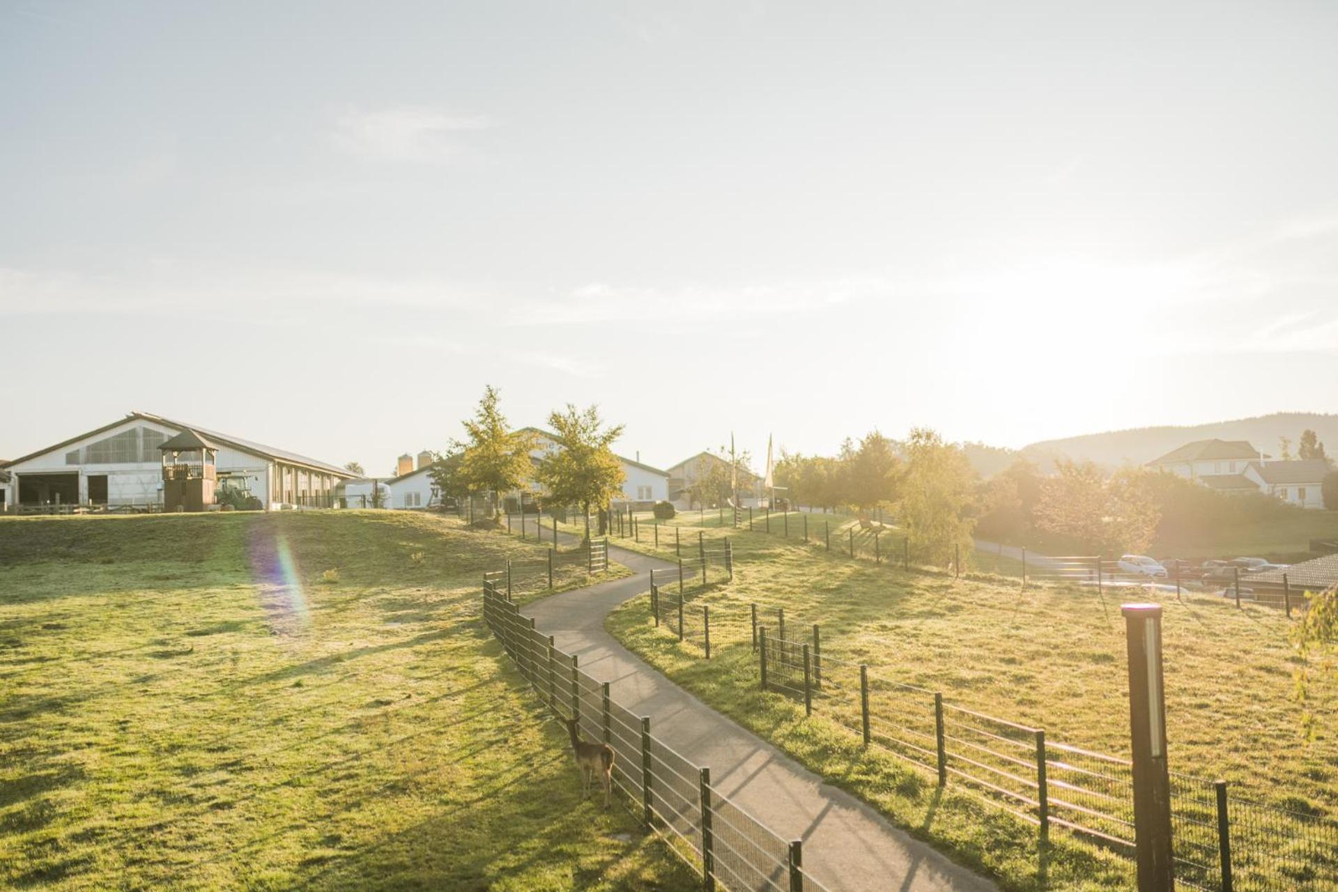 Hof Koehne - Doppelhaus - Wohnung Dreifachhexe Schmallenberg Exteriér fotografie