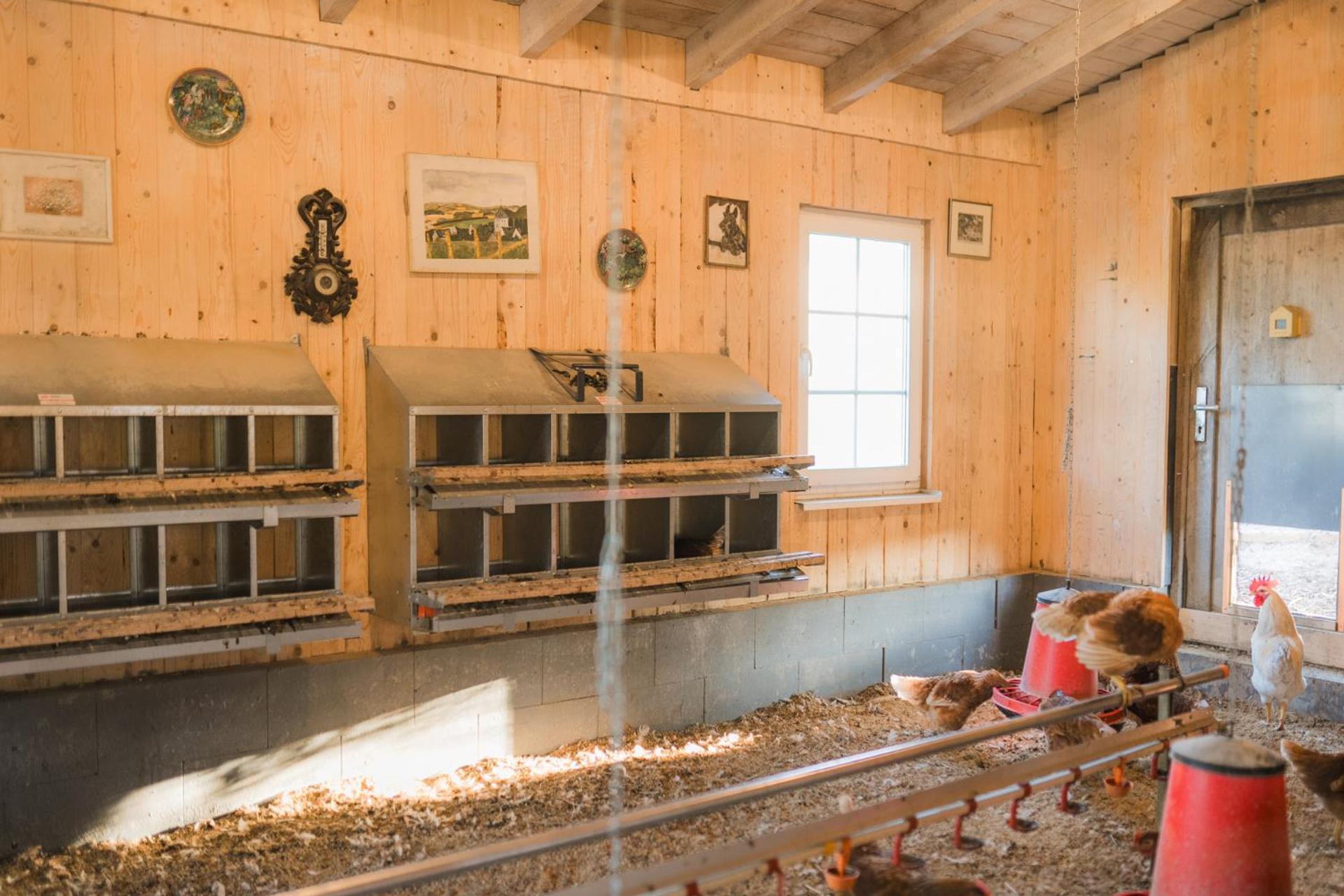 Hof Koehne - Doppelhaus - Wohnung Dreifachhexe Schmallenberg Exteriér fotografie